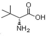 DL-叔亮氨酸|33105-81-6|DL-tert-Leucine