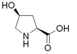 顺式-4-羟基-L-脯氨酸|618-27-9|cis-4-Hydroxy-L-proline