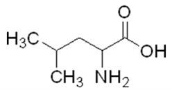 328-39-2|DL-亮氨酸|DL-Leucine