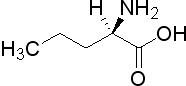 D-Norvaline|2013-12-9